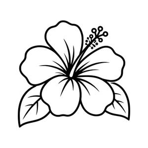 May include: A black and white line drawing of a hibiscus flower. The flower has five large petals, with detailed lines, and two leaves. The centre of the flower has a detailed stamen.