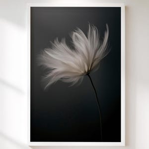 Può includere: Stampa artistica incorniciata con un primo piano di un fiore bianco e piumoso su sfondo grigio scuro. I delicati petali del fiore sono illuminati, creando un effetto morbido ed etereo. L'opera d'arte è esposta in una cornice bianca.