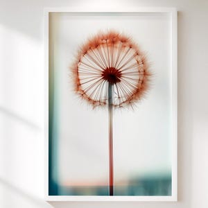 Può includere: Una stampa artistica incorniciata con un primo piano di un capolino di tarassaco. Il capolino è di colore marrone-rossastro, con strutture delicate e radianti. La stampa è ambientata su uno sfondo morbido e sfocato e incorniciata in un bordo bianco.