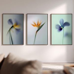 Könnte beinhalten: Drei gerahmte Kunstdrucke mit Blumenmotiven. Die Drucke zeigen Nahaufnahmen von Blumen in weichem Fokus. Die Blumen umfassen eine blau-gelbe Iris, eine orangefarbene Paradiesvogelblume und ein blaues Veilchen. Die Rahmen sind dunkelbraun.
