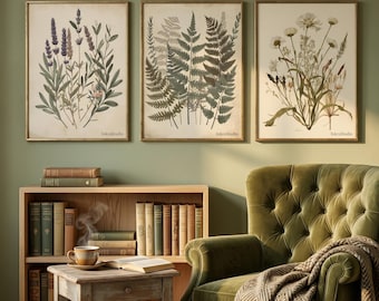 Conjunto de 3 láminas de arte Dark Academia con motivos botánicos, láminas de herbario vintage, decoración gótica para estudio y descarga digital.