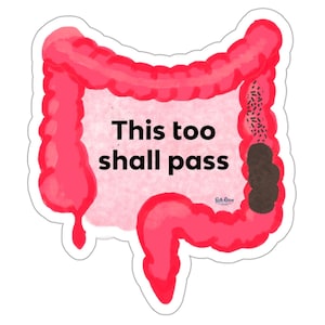 This Too Shall Pass Die-Cut Sticker |funny sticker,poop sticker, Bristol stool chart,weatherproof sticker,constipation humor,anatomy sticker