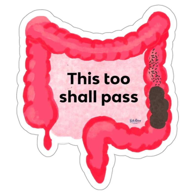 This Too Shall Pass Die-Cut Sticker funny sticker,poop sticker, Bristol stool chart,weatherproof sticker,constipation humor,anatomy sticker image 1