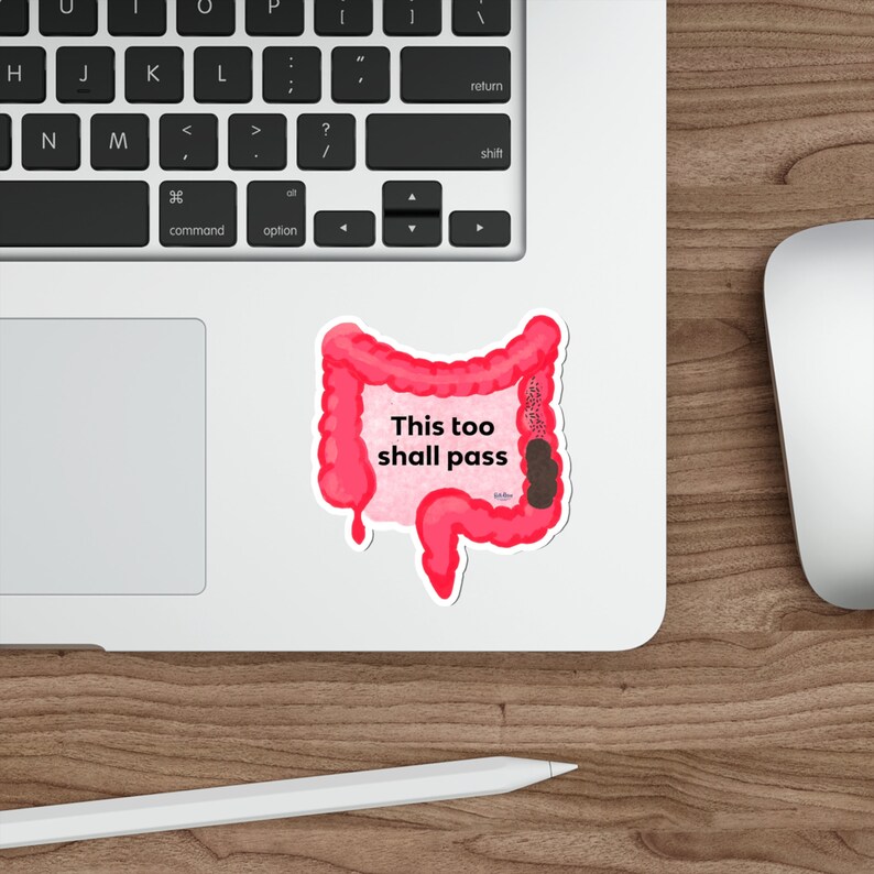 This Too Shall Pass Die-Cut Sticker funny sticker,poop sticker, Bristol stool chart,weatherproof sticker,constipation humor,anatomy sticker image 3