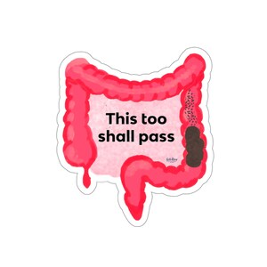 This Too Shall Pass Die-Cut Sticker funny sticker,poop sticker, Bristol stool chart,weatherproof sticker,constipation humor,anatomy sticker image 8