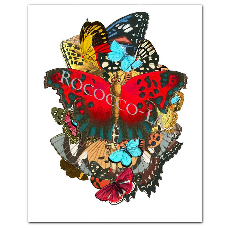 BUTTERFLIES 1 The Colors of the Nature Art Print, Illustration, Wall decor,Fine Art Prints, Art Poster image 1