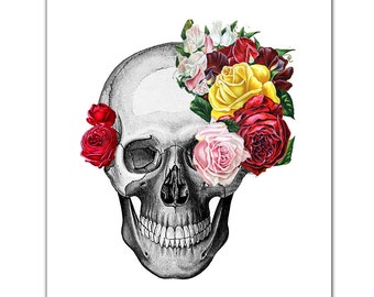 Vintage Skull and Roses - ART Print