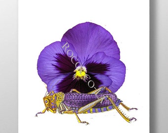 FIOLETOWY KONIK POLSKI z FIOLETOWYM - Technika mieszana Malarstwo dekoracyjne Rysunek Ilustracja Portret Dekoracja ścienna, Wydruki artystyczne