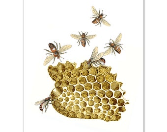 BEES & HONEYCOMB - Art Print, Illustration, Wall decor,Fine Art Prints, Art Poster. Save the Bees