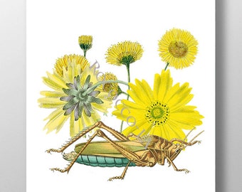 Żółte kwiaty i konik polny Technika mieszana Malarstwo dekoracyjne Rysunek Ilustracja Portret Dekoracja ścienna, Wydruki artystyczne