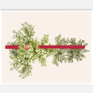 Plants & Vines - modern minimal  art, Mixed media Decorative art POSTER 8x10