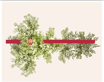 Rośliny i winorośle - nowoczesna sztuka minimalistyczna, technika mieszana Sztuka dekoracyjna PLAKAT 8x10