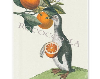 POMARAŃCZE I PINGWIN! wydruk, technika mieszana Sztuka dekoracyjna, malarstwo zwierząt, rysunek, ilustracja, portret