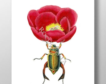 Red Peony and Beautiful Beetle Mixed media Decorative art painting drawing illustration portrait  Wall decor,Fine Art Prints