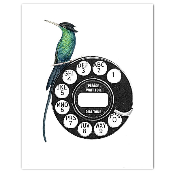 CALL ME with HUMMINGBIRD - Art Print