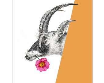 KOZA Z PIWONIĄ (Żółta) Technika mieszana Sztuka dekoracyjna Malarstwo zwierzęce Rysunek Ilustracja Portret Wydruk