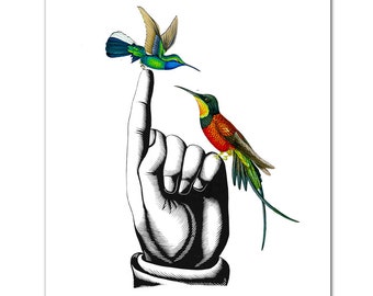 HUMMINGBIRDS on Hand - ART Print