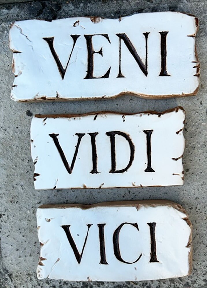 Veni Vidi Vici painting