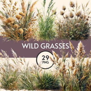 Puede incluir: Ilustración en acuarela de varias hierbas silvestres en tonos verdes, marrones y beige. La imagen incluye el texto "WILD GRASSES" y un círculo con el número "29" y las letras "PNG".