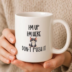 Op de afbeelding: Een witte keramische mok met een afbeelding van een norse kat en de zwarte tekst I'M UP I'M HERE DON'T PUSH IT. De mok heeft een gladde afwerking, een afgerond handvat aan de rechterkant en een cilindervormig lichaam met een platte bodem.