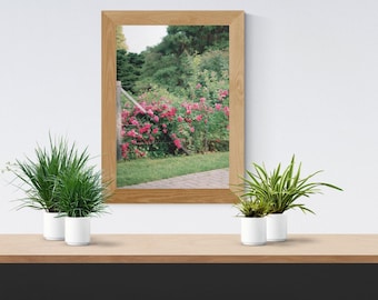 Rose Garden Digital Print