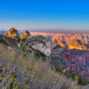 Grand Canyon, Cape Royal, Arizona, 13x19 Print, 11x14 Print, 8x10 Print, Greeting Card, Arizona Wall Art, Gift for Men, Gift for Women