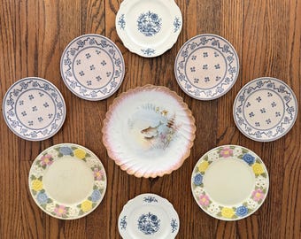 Collected Vintage Plate Wall Set of 9 | Antique Limoges Fish Centerpiece | Blue & White Ironstone + Floral | Instant Gallery Wall Decor