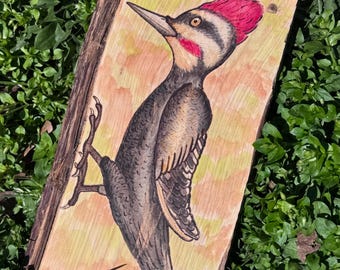 Hand-burnded Wood Pecker Wall Art: Watercolor on Cedar Wood Decor