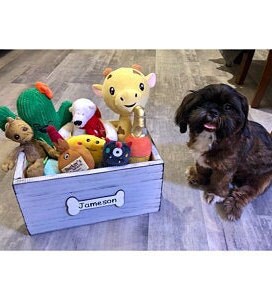 Dog Toy Box Personalized Pet Toy Storage Wood Crate for | Etsy
