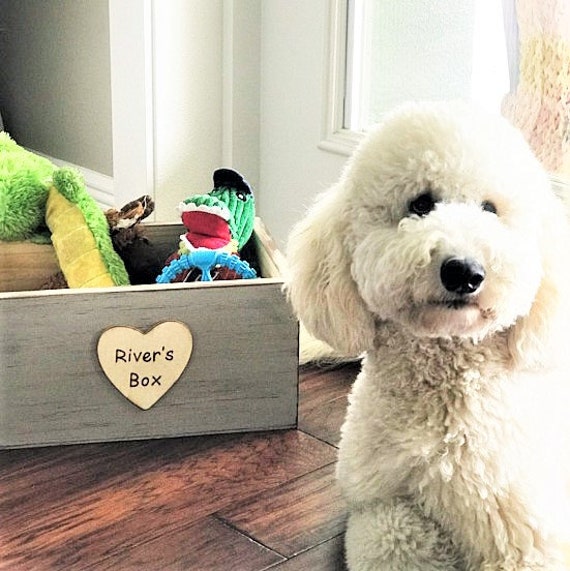 Personalized Dog Toy Box -   Dog toy box, Personalized dog