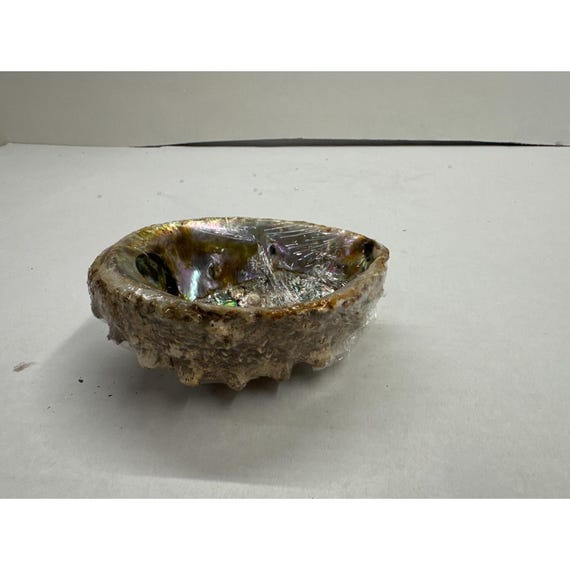 Natural Iridescent Abalone Shell - Ocean Decor | Smudging Bowl View 2
