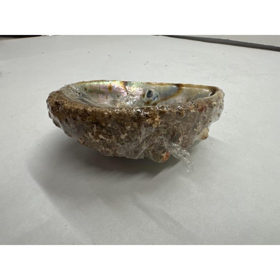 Natural Iridescent Abalone Shell Ring Holder Decor View 3