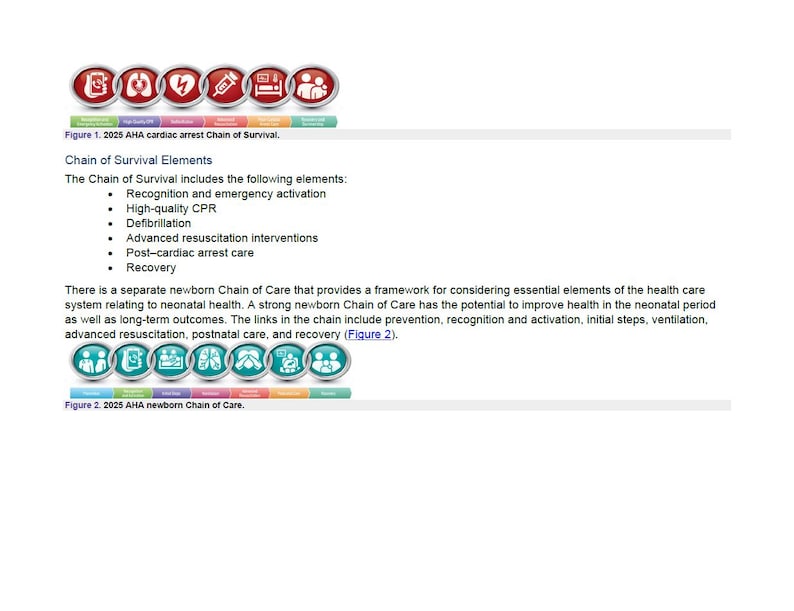 AHA 2025 Bls, Acls, Pals Provider Manual Bundle- Digital Bundle - Etsy ...
