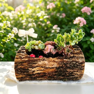 May include: A rustic wooden planter filled with a variety of succulents in shades of green, pink, and red. The planter has a bark-like texture and is decorated with a white bow and small red mushroom figurines. A charming, natural home decor item.