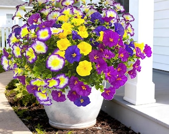 UV Resistant Artificial Flowers for Outdoor 12 Bundle Faux Morning Glory Plants for Porch Planters, Colorful Fake Flowers Spring Patio Decor