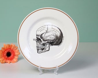 Vintage wall plate altered art skull, wall decor redesigned plate
