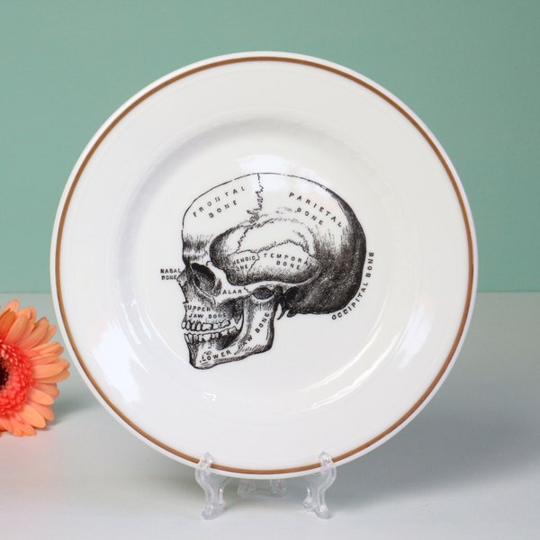 Vintage wall plate altered art skull, wall decor redesigned plate