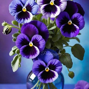 May include: A vibrant bouquet of pansies in a blue glass vase. The flowers display a range of purple hues, with white and yellow centers. The background is a gradient of purple and blue, creating a visually appealing floral arrangement.