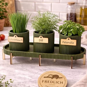 Könnte beinhalten: Ein grünes Kräutergarten-Set mit drei zylindrischen Töpfen, die jeweils verschiedene Kräuter enthalten und mit Holzschildern beschriftet sind. Die Töpfe stehen auf einem passenden Tablett mit Holzbeinen, und ein Holzuntersetzer mit einem Faultier-Logo befindet sich im Vordergrund.