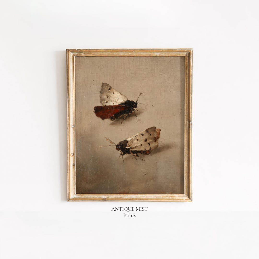 Vintage Moth Painting Wall Art, Rustic Insect Illustration (digital ...