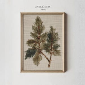 May include: Framed print featuring a watercolor painting of two pine branches with green needles and brown stems. The artwork is set against a beige textured background and is enclosed in a gold-colored frame. The text "ANTIQUE MIST Prints" is at the top.