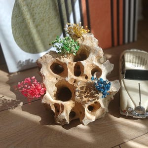 Könnte beinhalten: Ein beiges Oldtimer-Modell neben einer porösen, beigefarbenen Steinskulptur, die mit bunten Trockenblumen verziert ist. Der Stein hat mehrere Löcher und ist mit roten, blauen, grünen und gelben Blumen geschmückt. Das Automodell ist cremefarben.