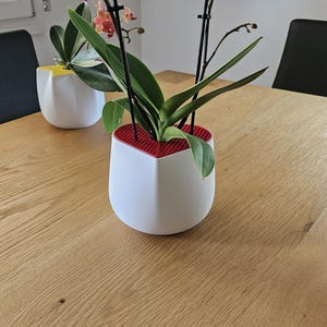 Può includere: Fioriere geometriche bianche con orchidee. Le orchidee hanno fiori viola intenso e rosa e foglie verdi. Le fioriere hanno un motivo a griglia rossa nella parte superiore. Il tavolo è di legno.