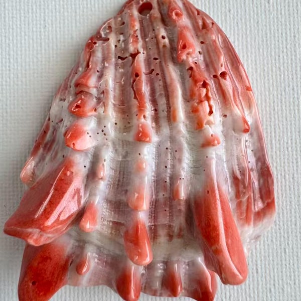 Large Red Cream Spiny Oyster Shell Pendant 64x50mm Natural Ocean Shell Focal Bead Jewelry Supply