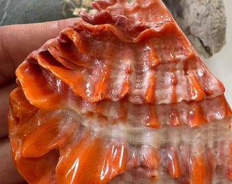 Large Orange Shell Pendant 62x69mm, Carved Fake Shell Pendant, Ocean Statement Pendant, Jewelry Making Supply, Designer Necklace Pendant