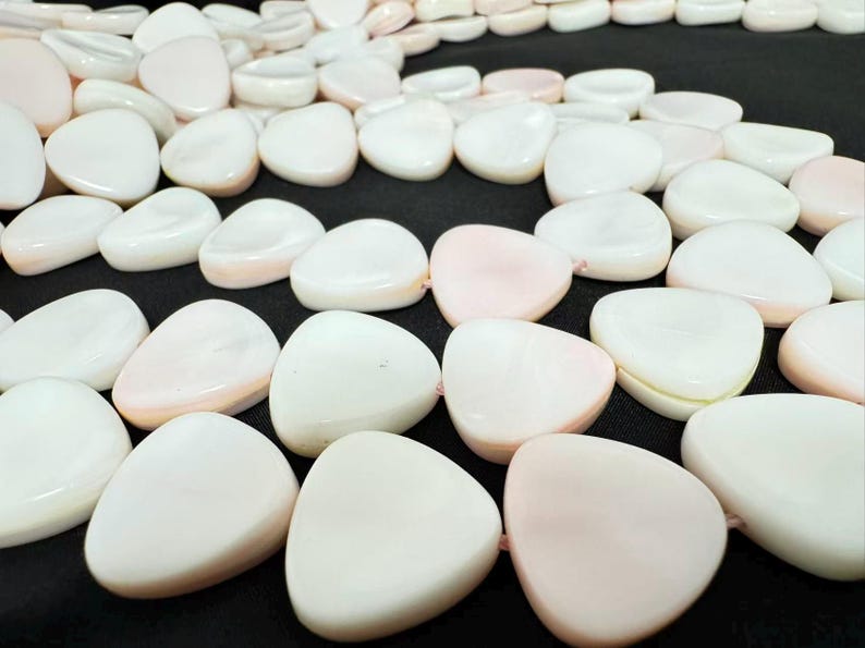 Blush White Queen Conch Shell Petal Beads, Smooth Natural Jewelry ...