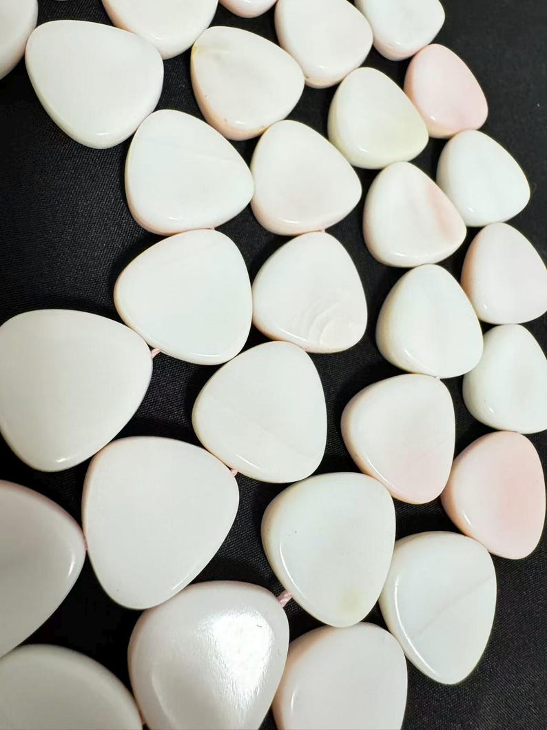 Blush White Queen Conch Shell Petal Beads, Smooth Natural Jewelry ...