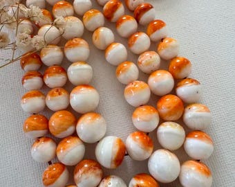 Natural Spiny Oyster Shell Graduated Round Beads 6–11mm Orange White Shell Strand Jewelry Making Beach Necklace Bracelet Supplies