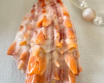 Natural Orange Coral Shell Pendant 41x56mm, Large Ocean Shell Pendant, Carved Shell Focal, Statement Jewelry Pendant, Beach Jewelry Supply