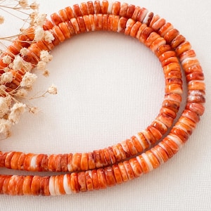 May include: A strand of circular, disc-shaped beads in varying shades of orange, coral, and white, arranged in a curved formation. The beads feature a smooth, polished finish with marbled color patterns throughout, accompanied by dried white flowers.